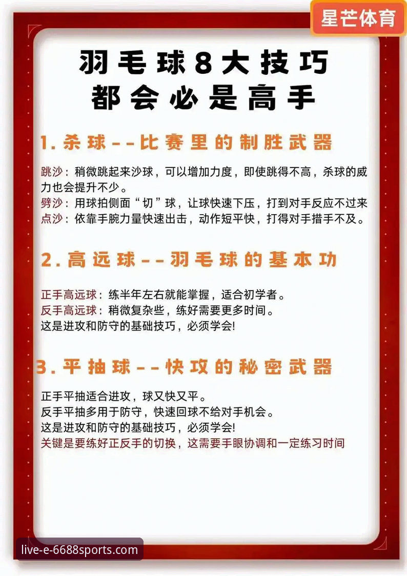 体育使用教程 掌握6688体育平台使用的关键:从新手到高手的实用指南